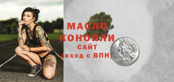 спиды Богородицк